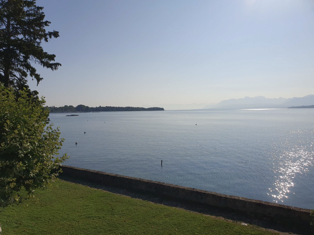 Pieds-dans-l'eau à Nyon