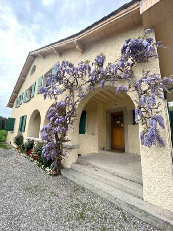 Appartement 5 pièces à Plan-les-Ouates - à Vendre 2