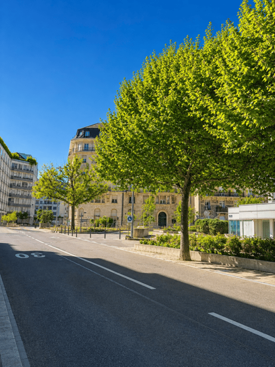 Charmant appartement près du Lac 3