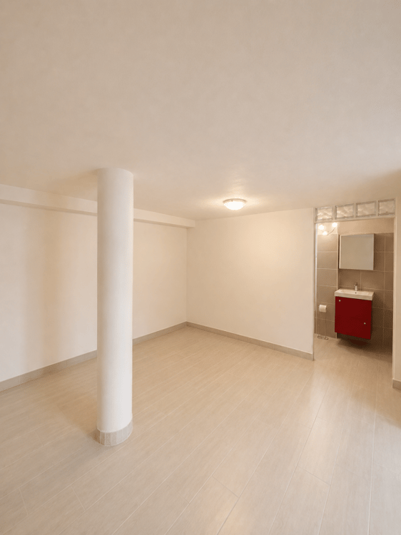 Elegante & Spaciesue Villa de 7 pièces à Chambésy 41