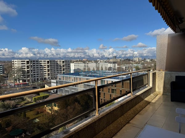 Rare sur le secteur : Spacieux appartement lumineux avec terrasse à quelques minutes du centre-ville 2