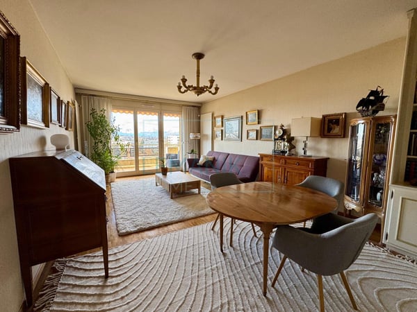 Rare sur le secteur : Spacieux appartement lumineux avec terrasse à quelques minutes du centre-ville 3
