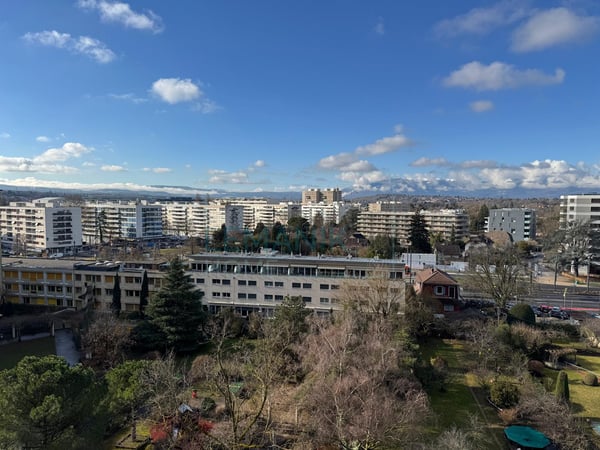 Rare sur le secteur : Spacieux appartement lumineux avec terrasse à quelques minutes du centre-ville 5
