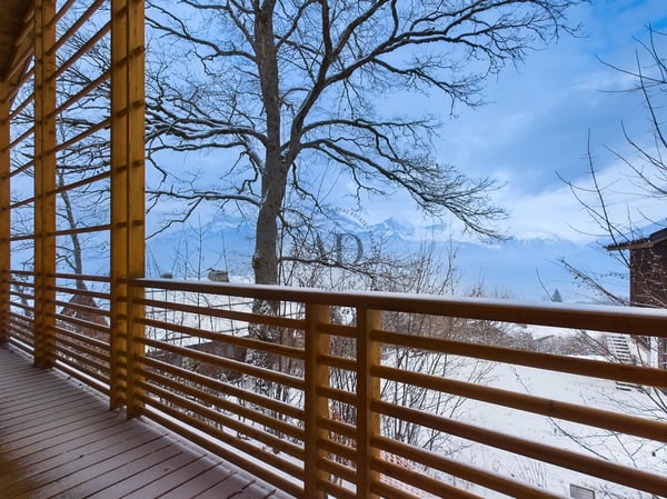 Magnifique chalet 5