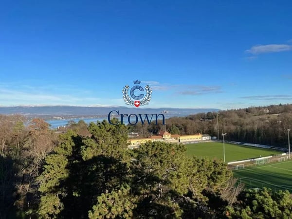 Spectacular view in Cologny 2