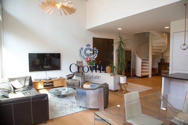 The space of a duplex, downtown Geneva 10 minutes away, everything within reach 8