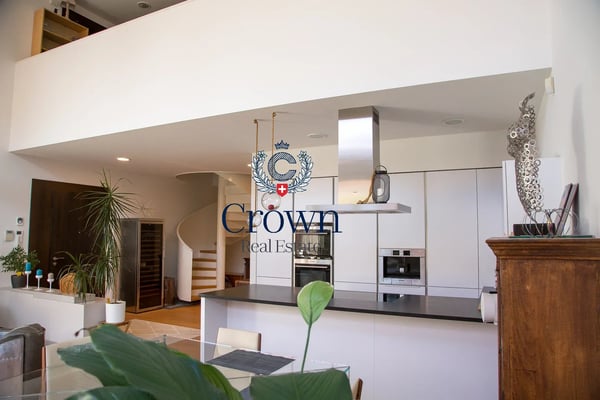 The space of a duplex, downtown Geneva 10 minutes away, everything within reach 13
