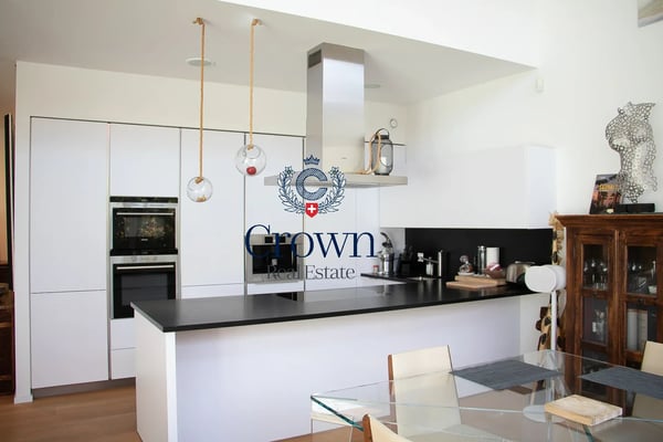 The space of a duplex, downtown Geneva 10 minutes away, everything within reach 2