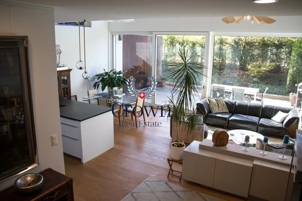 The space of a duplex, downtown Geneva 10 minutes away, everything within reach 3