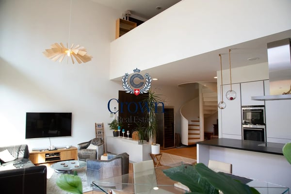 The space of a duplex, downtown Geneva 10 minutes away, everything within reach 10