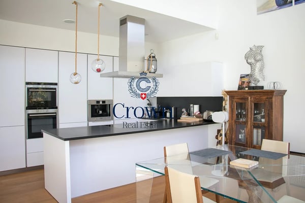 The space of a duplex, downtown Geneva 10 minutes away, everything within reach 7