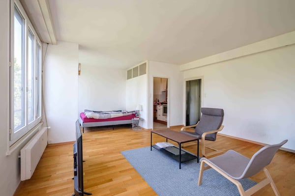 Bel appartement de 2 pièces avec vue aux Eaux-Vives 4