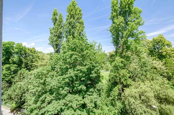 Bel appartement de 2 pièces avec vue aux Eaux-Vives 7