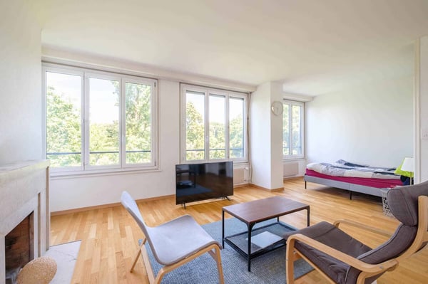 Bel appartement de 2 pièces avec vue aux Eaux-Vives 2