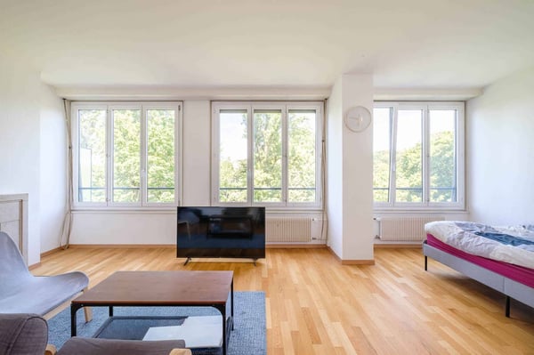 Bel appartement de 2 pièces avec vue aux Eaux-Vives 3