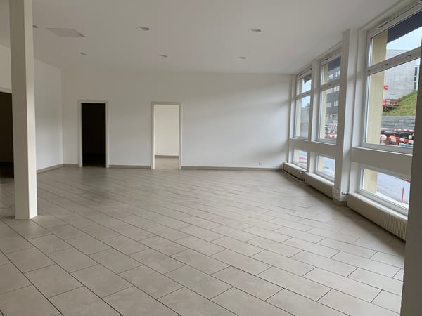 Locaux spacieux, rénovés, avec monte-charge. Surface idéale pour exposition - bureaux Avec places de parc extérieures 3