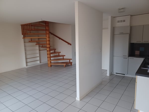 Grand appartement en duplex 3