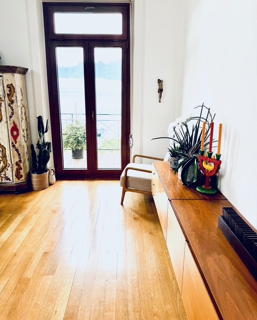 Bel appartement avec vue magnifique sur le lac et les montagnes. 3