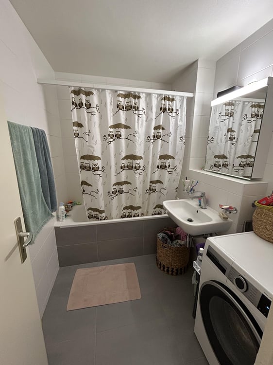 Logement agréable, dans un quartier familial, proche de toutes commodités. Possibilité de reprendre des meubles des locataires actuels. 4