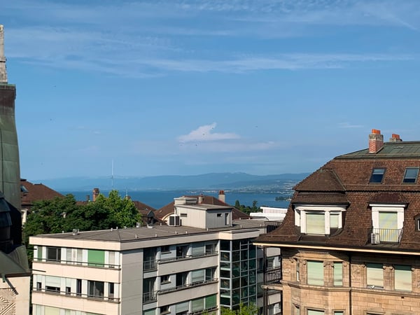 Très bel appartement avec beaucoup de cachet, spacieux et lumineux bénéficiant d'une belle échappée sur le lac 8