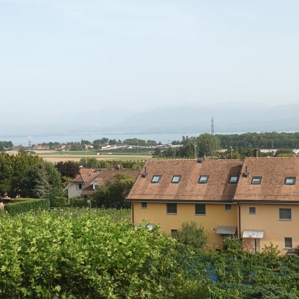 Superbe attique neuf de 4.5 pièces avec vue lac à l'horizon