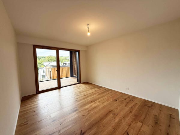 Derniers lots - Maison de ville neuve dans parc arboré 7