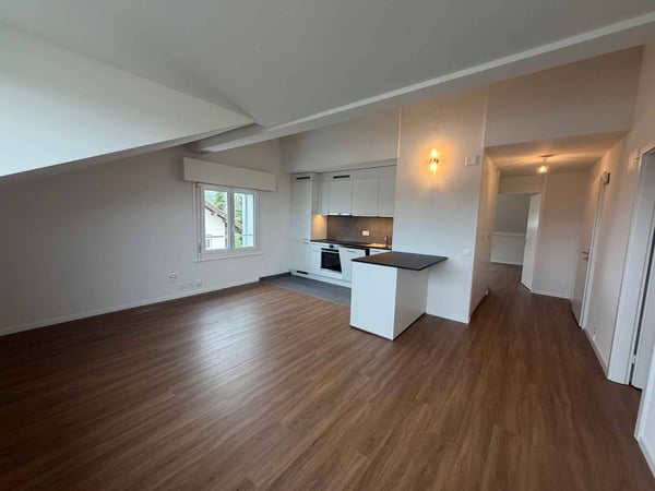 Magnifique logement entièrement rénové dans un quartier calme et résidentiel 5