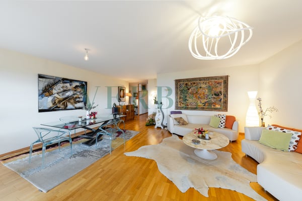 Appartement plein sud avec magnifiques vues sur la ville et le lac 3