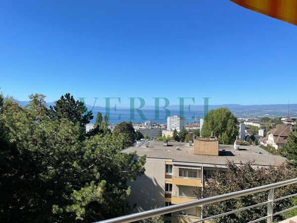 Appartement plein sud avec magnifiques vues sur la ville et le lac 1