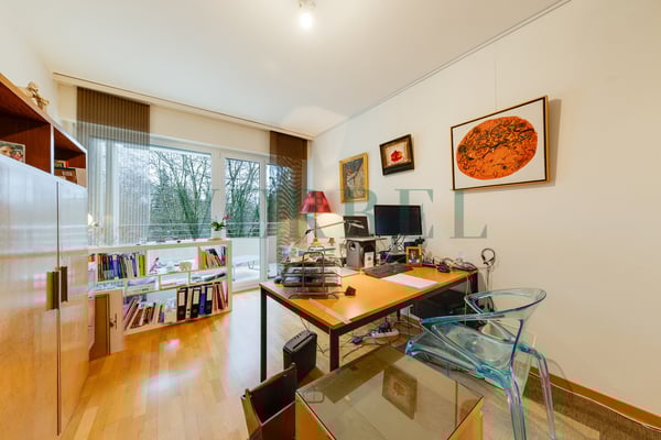 Appartement plein sud avec magnifiques vues sur la ville et le lac 7