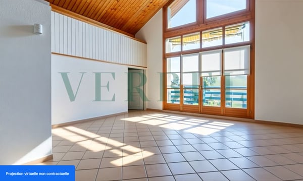 Appartement à Laconnex 4