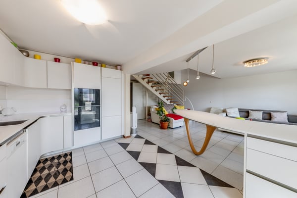 Duplex en rez-de-jardin avec vue lac 5