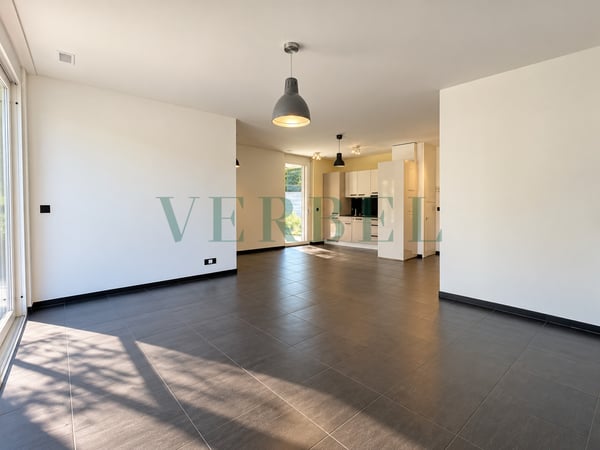 Attique lumineux avec magnifique terrasse 2