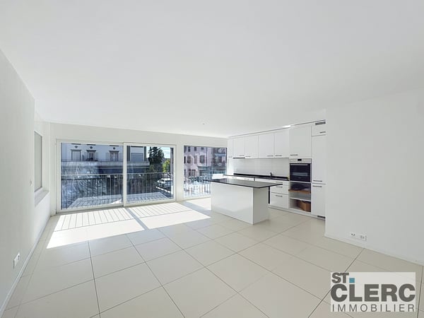 Bel appartement avec grande terrasse 2