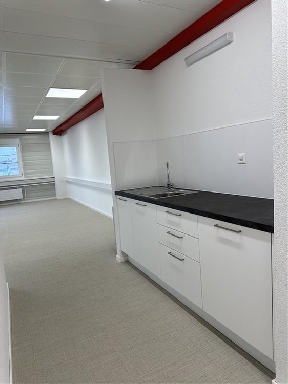 Moderne Büros von 231m2 in Romanel-sur-Lausanne 3