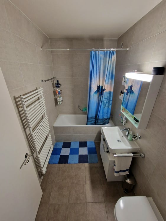 Charmant appartement de 1 pièces à Montreux 9