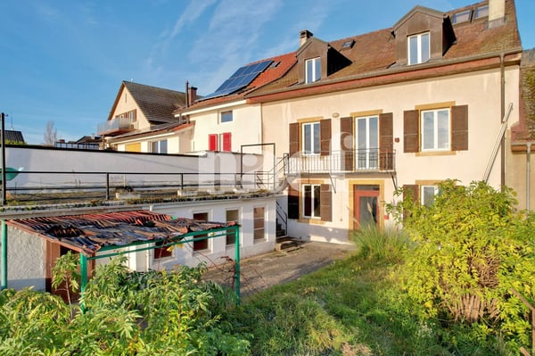 Idéal pour les amoureux de nature en ville! 8