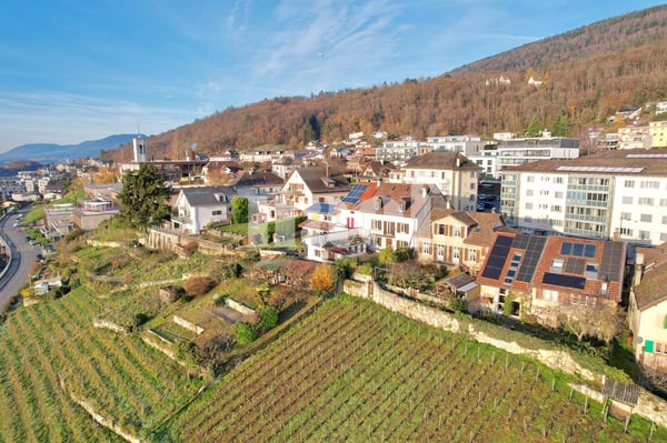 Idéal pour les amoureux de nature en ville! 10