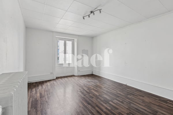 Idéal pour les amoureux de nature en ville! 5