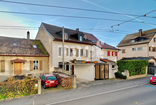 Idéal pour les amoureux de nature en ville! 7