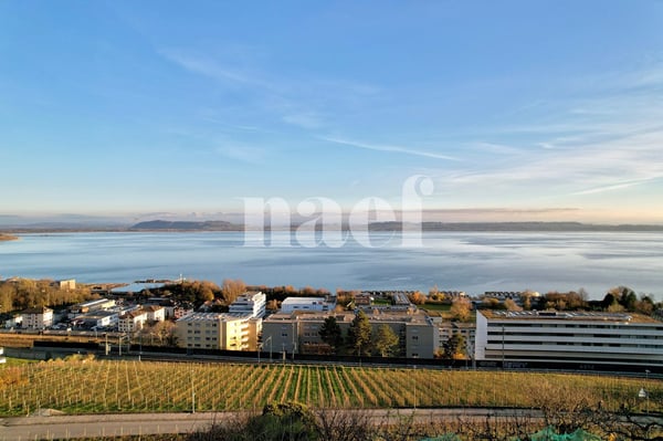 Idéal pour les amoureux de nature en ville! 1