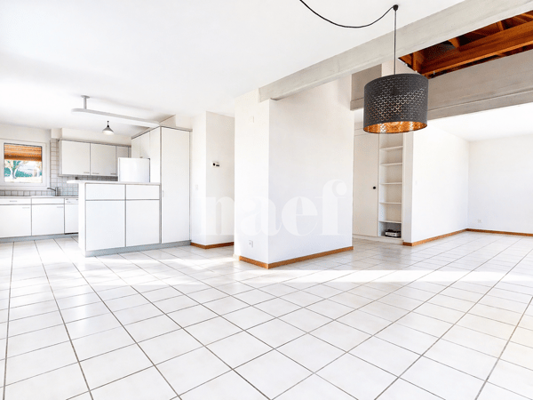 Spacieux duplex de 5 pièces 2