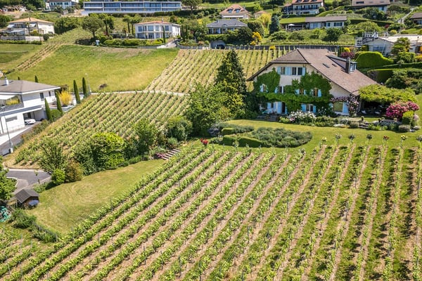 Demeure d'exception au coeur de Lavaux 2