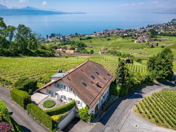 Demeure d'exception au coeur de Lavaux 1
