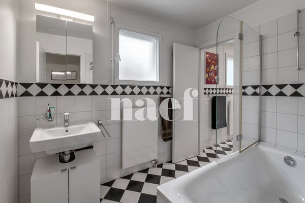 Magnifique appartement en duplex avec terrasse et jardin 12