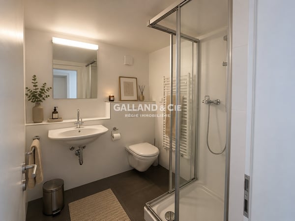 Superbe maison individuelle de 6.5 pièces avec studio indépendant 12