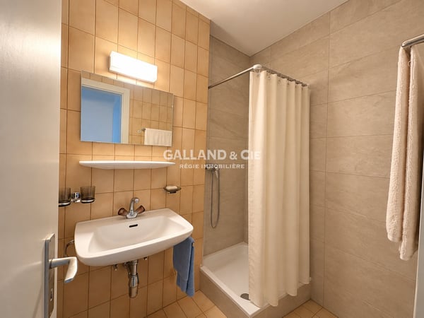 Spacieux 3.5 pièces avec vue - ~ 130 m² - Quartier Mousquines-Verdeil 8