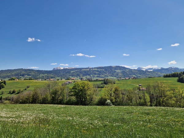 Opportunité : villas neuves entre Châtel-St-Denis et Bulle 2
