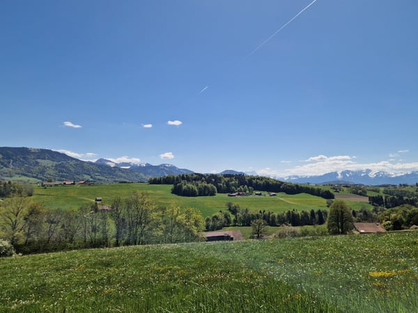 Opportunité : villas neuves entre Châtel-St-Denis et Bulle