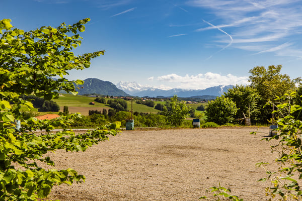 Opportunité rare : vaste domaine avec potentiel constructible 9